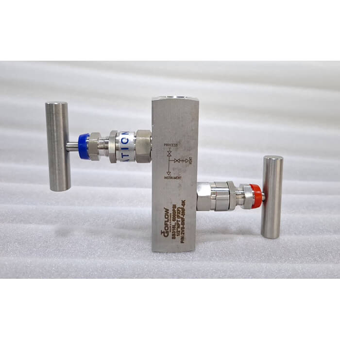 2 Way Manifold