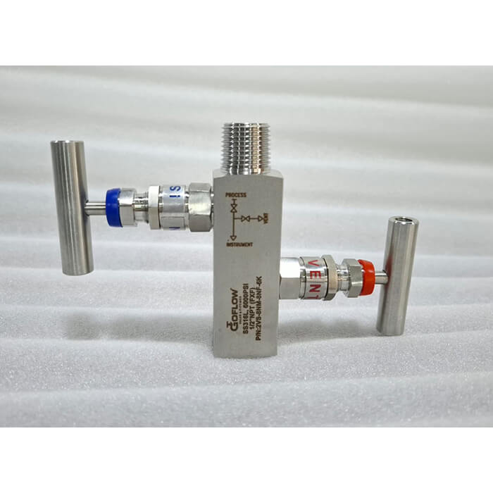 2 Way Manifold